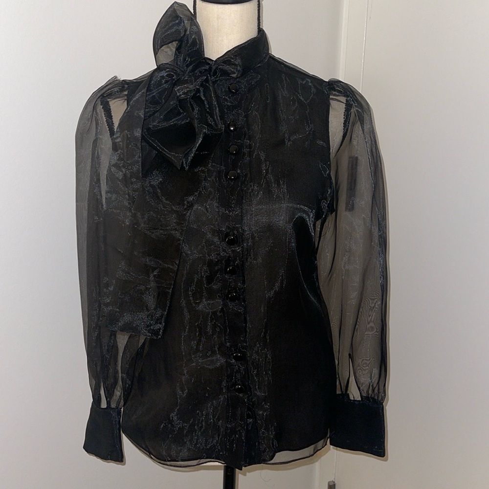 Gorgeous Zara Organza Blouse